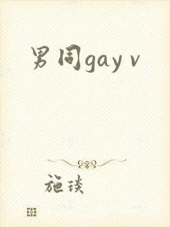 男同gay v