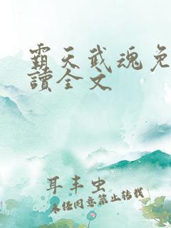 霸天武魂免费阅读全文