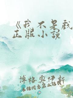 《我不是戏神》正版小说