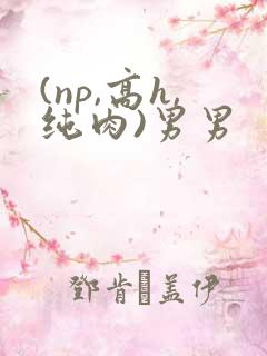 (np,高h,纯肉)男男