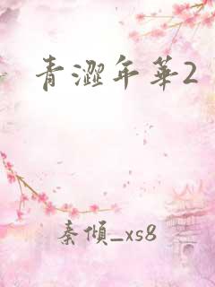 青涩年华2