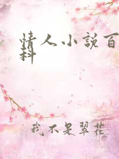 情人小说百度百科