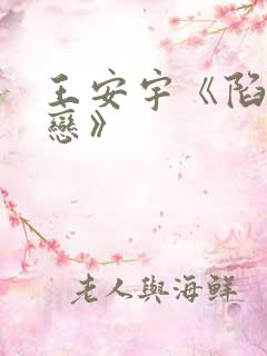 王安宇《陷入热恋》