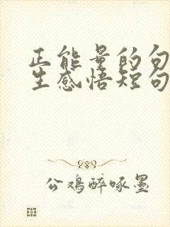 正能量的句子人生感悟短句