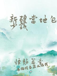新疆当地包车多少钱