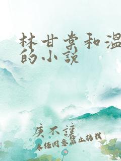 林甘棠和温晏清的小说