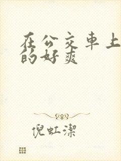 在公交车上被插的好爽