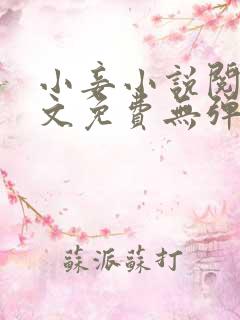小妾小说阅读全文免费无弹窗