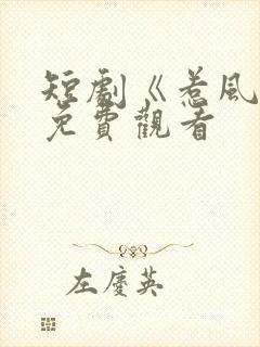 短剧《惹风华》免费观看