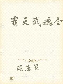 霸天武魂全
