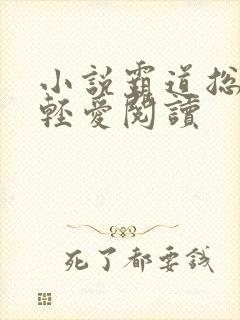 小说霸道总裁轻轻爱阅读