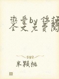 惩爱by 锦换全文免费阅读笔趣阁