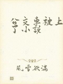 公交车被上高潮了小说