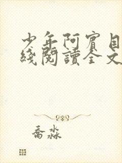 少年阿宾目录在线阅读全文