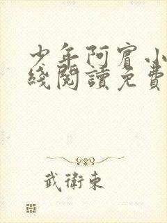 少年阿宾小说在线阅读免费