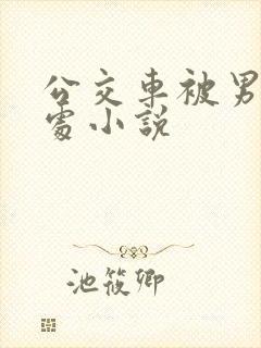 公交车被男人破处小说