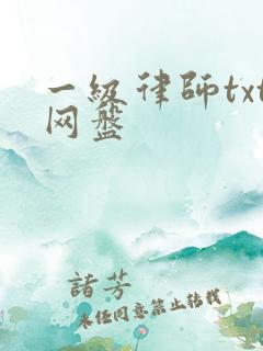一级律师txt网盘