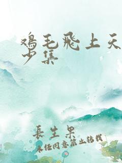 鸡毛飞上天共多少集