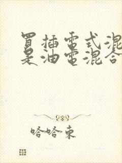 买插电式混合还是油电混合好