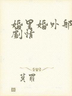 婚里婚外那些事剧情