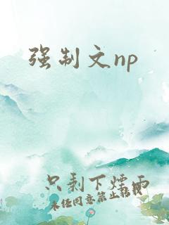 强制文np