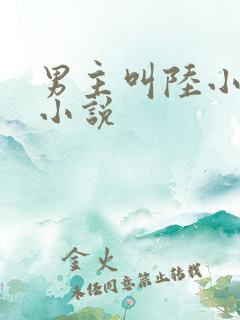 男主叫陆小北的小说