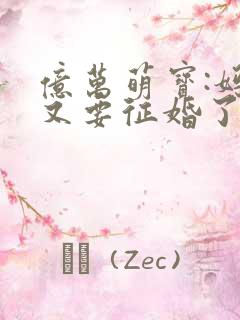 亿万萌宝:妈咪又要征婚了