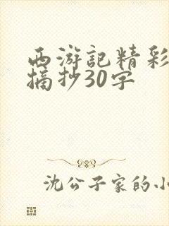 西游记精彩句段摘抄30字