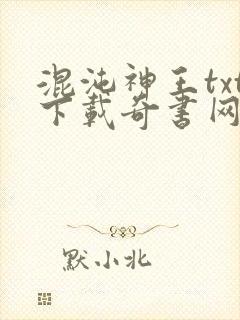 混沌神王txt下载奇书网