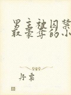 男主被囚禁被强取豪夺的小说