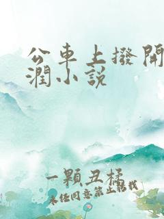 公车上拨开她湿润小说
