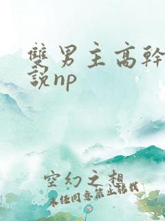 双男主高干文小说np