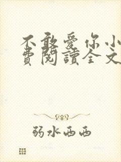 不敢爱你小说免费阅读全文