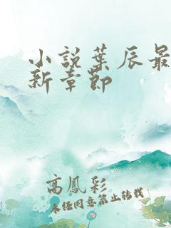 小说叶辰最新更新章节