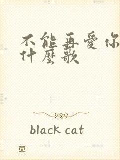 不能再爱你了是什么歌