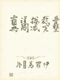 霸道总裁爱上我无删减完整版