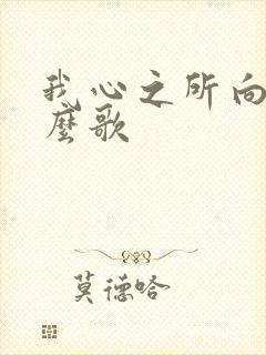 我心之所向是什么歌