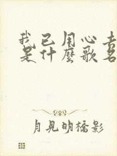 我已用心去爱你是什么歌名