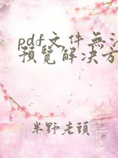 pdf文件无法预览解决方法