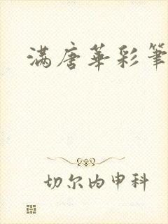 满唐华彩笔趣阁