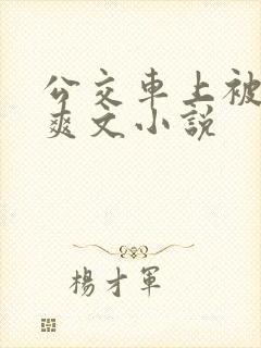 公交车上被强上爽文小说
