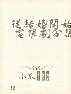 从结婚开始恋爱 电视剧分集剧情