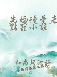 先婚后爱老公轻点宠小说