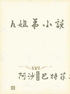 h姐弟小说