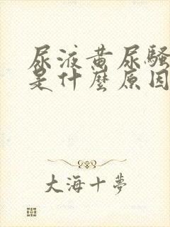 尿液黄尿骚味重是什么原因