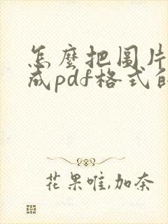 怎么把图片扫描成pdf格式的文件