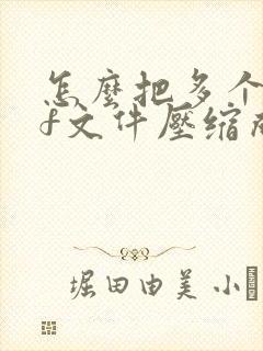 怎么把多个pdf文件压缩成一个文件