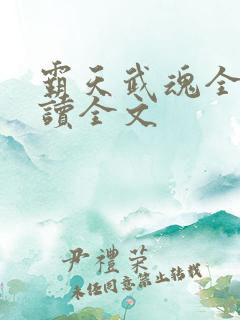 霸天武魂全文阅读全文