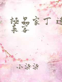 极品家丁 远方来客