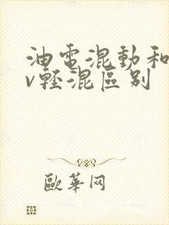 油电混动和48v轻混区别
